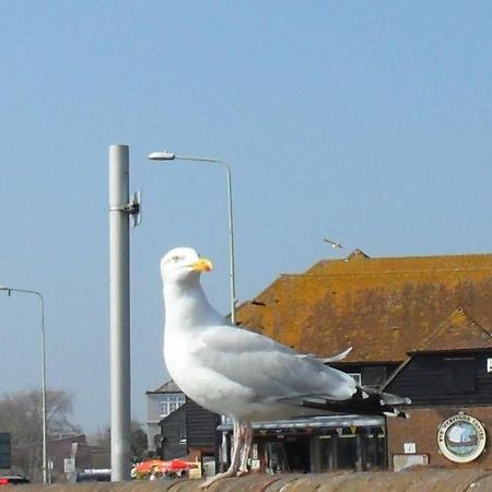 Seaview Cottage ライ エクステリア 写真